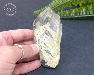 Lodolite Quartz Point #10