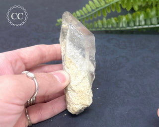 Lodolite Quartz Point #10