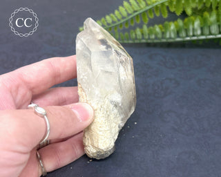 Lodolite Quartz Point #10