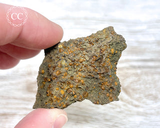 Ludlamite Specimen - Brazil #1