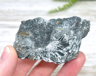 Ludwigite Specimen #1