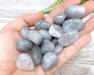 Luna Rose Quartz Tumbled Crystals in hand