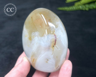 Madagascar Agate Freeform #2