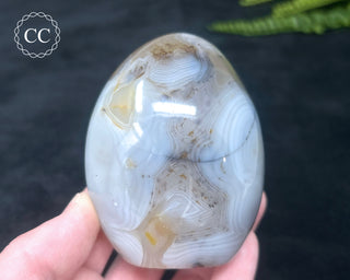 Madagascar Agate Freeform #2