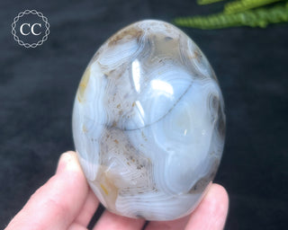 Madagascar Agate Freeform #2