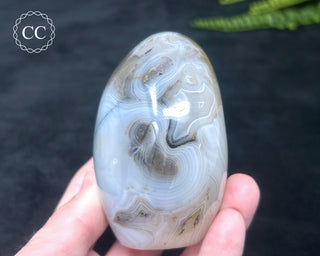 Madagascar Agate Freeform #2