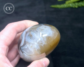 Madagascar Agate Freeform #2