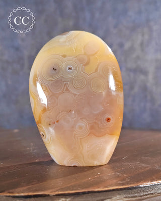 Madagascar Agate Freeform #4