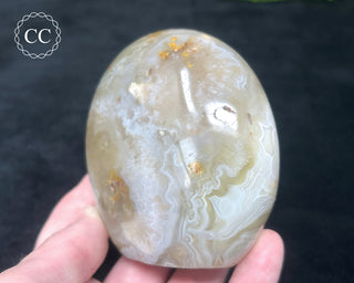 Madagascar Agate Freeform #1
