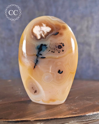 Madagascar Agate Freeform #4