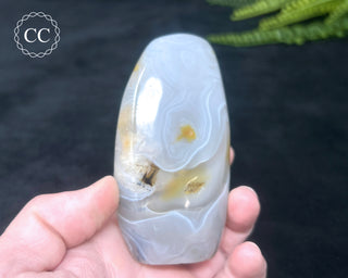 Madagascar Agate Freeform #3