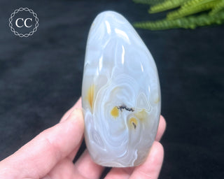 Madagascar Agate Freeform #3