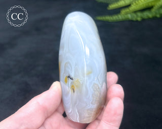 Madagascar Agate Freeform #3