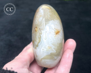 Madagascar Agate Freeform #1