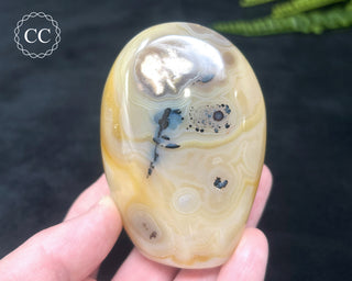 Madagascar Agate Freeform #4
