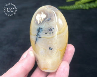 Madagascar Agate Freeform #4