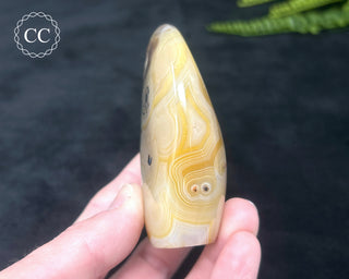 Madagascar Agate Freeform #4