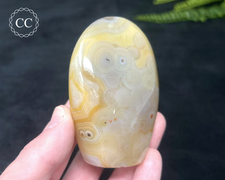 Madagascar Agate Freeform #4