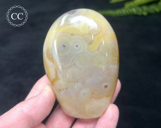 Madagascar Agate Freeform #4