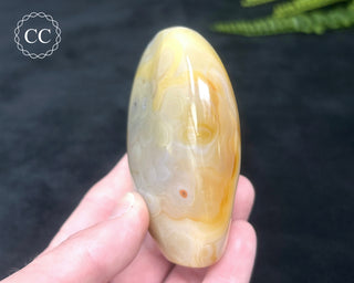 Madagascar Agate Freeform #4