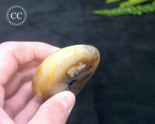 Madagascar Agate Freeform #4