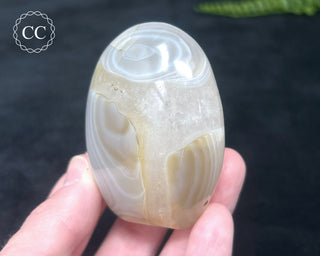 Madagascar Agate Freeform #5