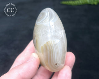 Madagascar Agate Freeform #5