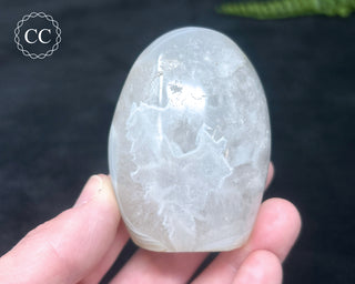 Madagascar Agate Freeform #5