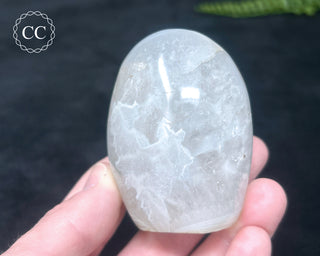 Madagascar Agate Freeform #5