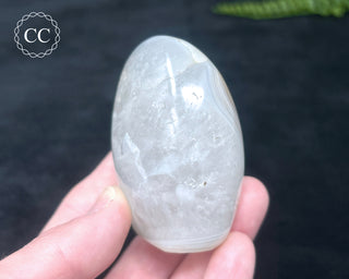 Madagascar Agate Freeform #5