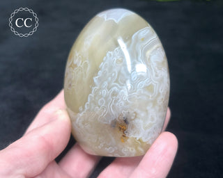 Madagascar Agate Freeform #1