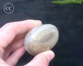 Madagascar Agate Freeform #5