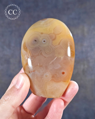 A hand holding a Madgascar Agate freeform