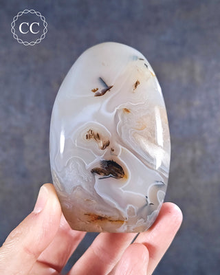 A hand holding a Madgascar Agate freeform