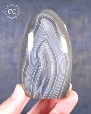 A hand holding a Madagascan Agate Freeform