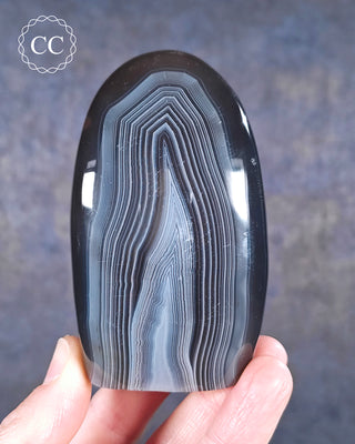 A hand holding a Madagascan Agate Freeform