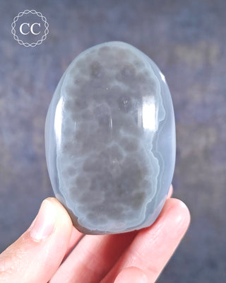 A hand holding a Madagascan Agate Freeform