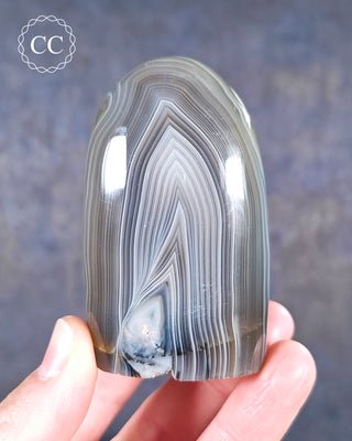 A hand holding a Madagascan Agate Freeform