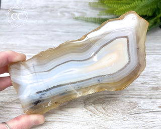 Madagascar Agate Slice #1