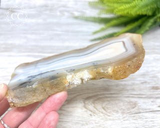Madagascar Agate Slice #1