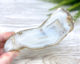 Madagascar Agate Slice #3