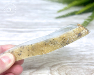 Madagascar Agate Slice #3