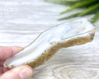 Madagascar Agate Slice #3