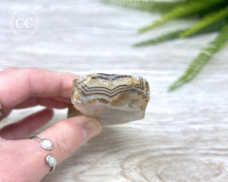 Madagascar Agate Slice #3