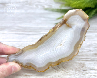 Madagascar Agate Slice #4