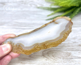 Madagascar Agate Slice #4
