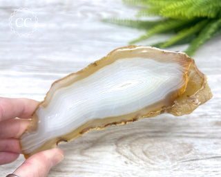 Madagascar Agate Slice #4