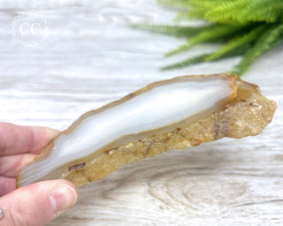 Madagascar Agate Slice #4