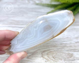 Madagascar Agate Slice #5