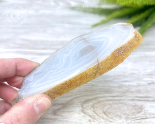 Madagascar Agate Slice #5